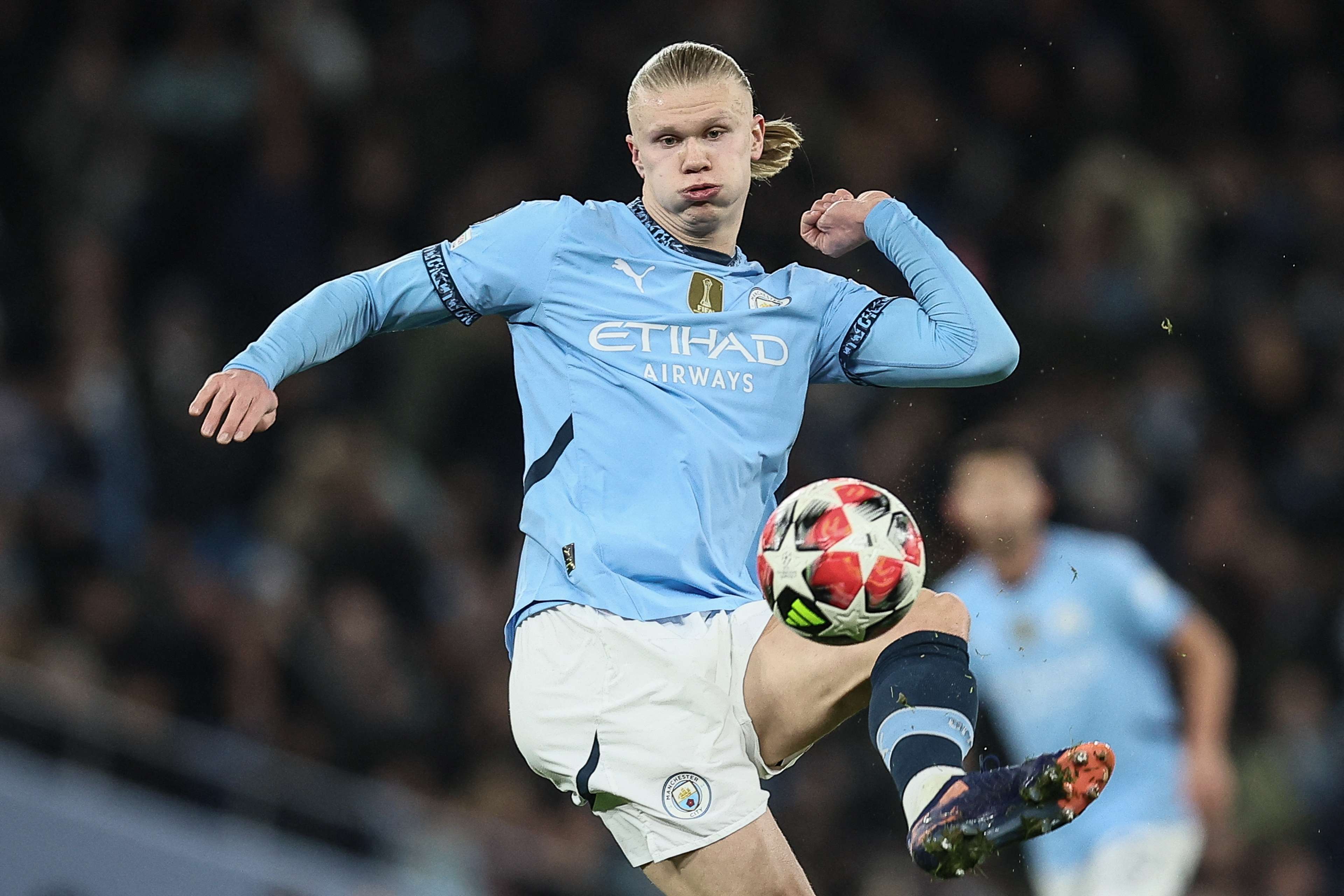 而易见的趋 而易见的趋